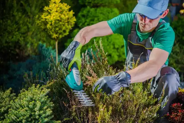 landscaping services Tickfaw
